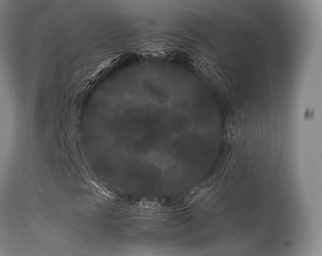 X0000113241297200909171553