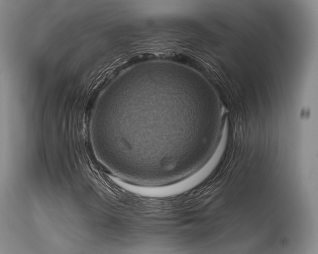 X0000113241298200909171553