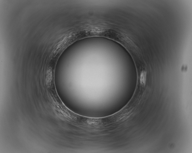 X0000113241299200909171553