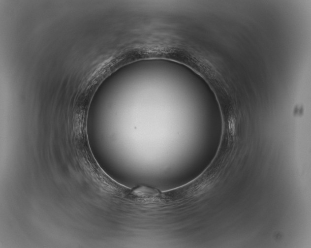 X0000113241300200909171553