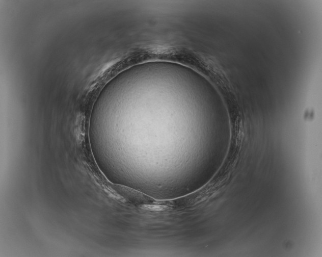 X0000113241301200909171553