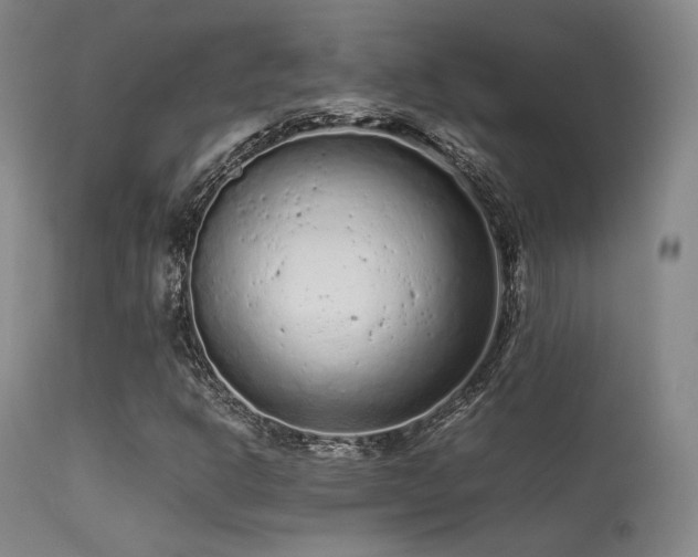 X0000113241302200909171553