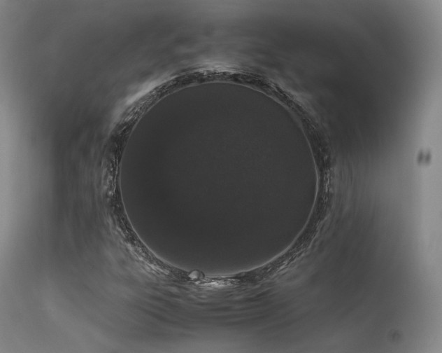 X0000113241303200909171553