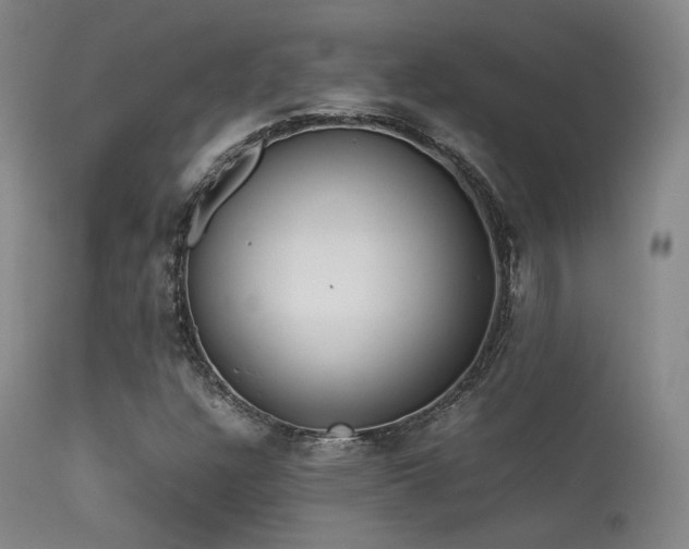 X0000113241304200909171553