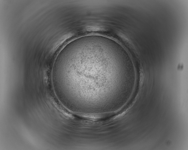 X0000113241305200909171553