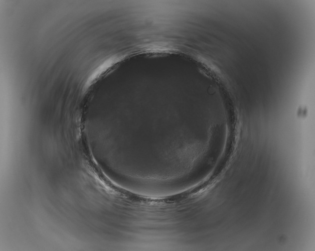 X0000113241306200909171553