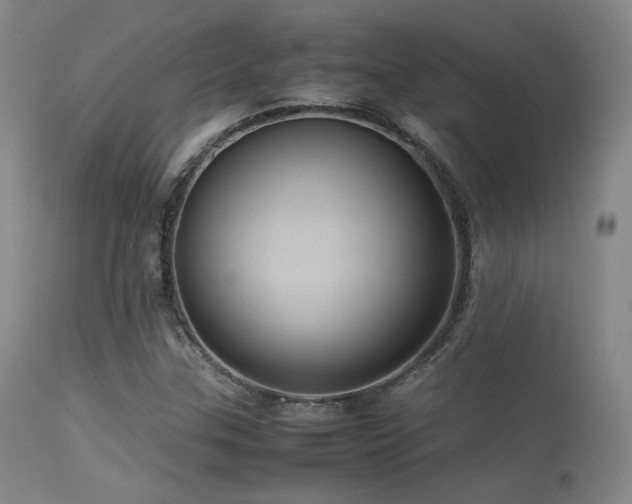 X0000113241307200909171553