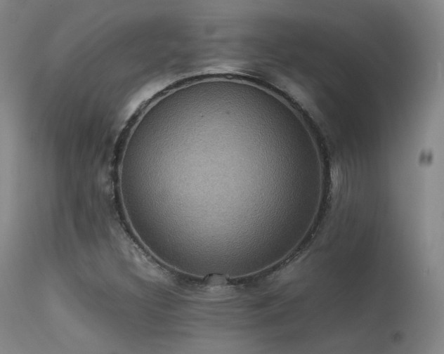 X0000113241308200909171553