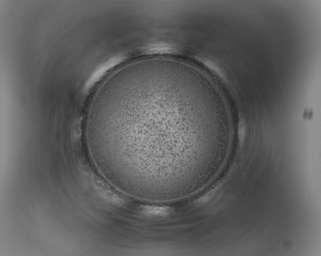 X0000113241309200909171553