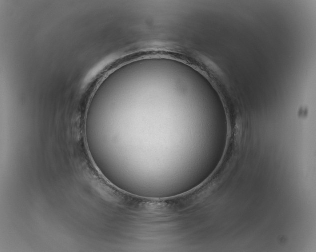 X0000113241310200909171553