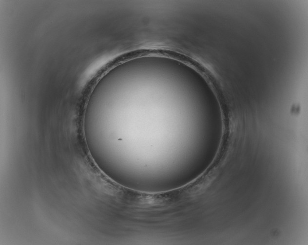 X0000113241311200909171553