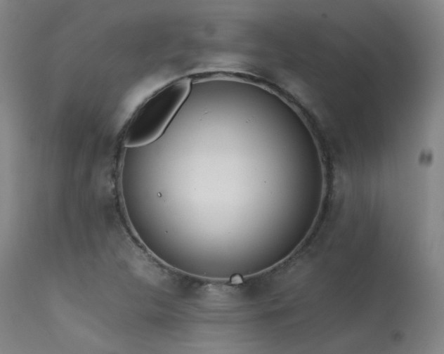 X0000113241312200909171553