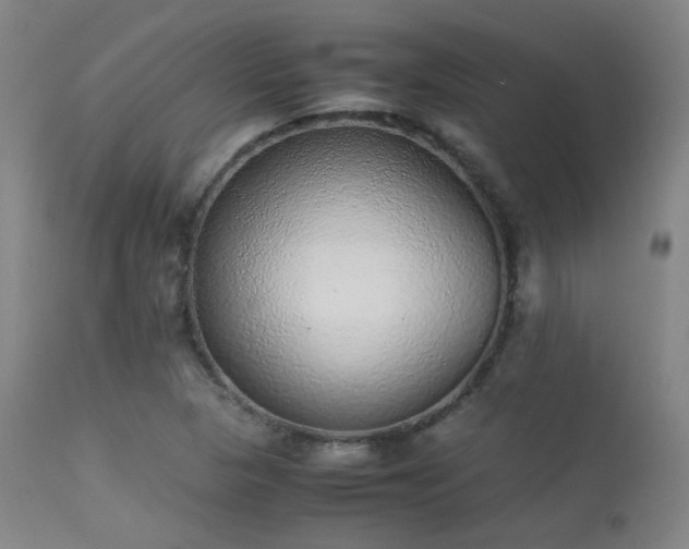 X0000113241313200909171553