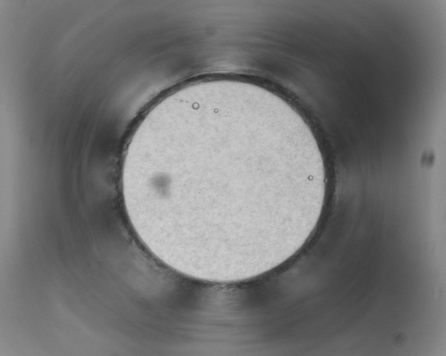 X0000113241314200909171553