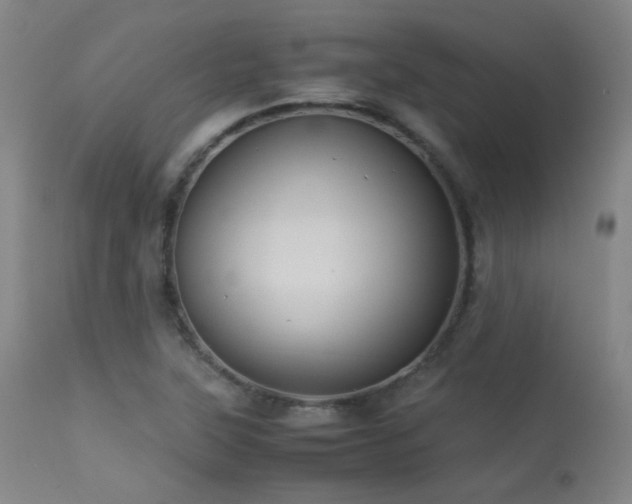 X0000113241315200909171553