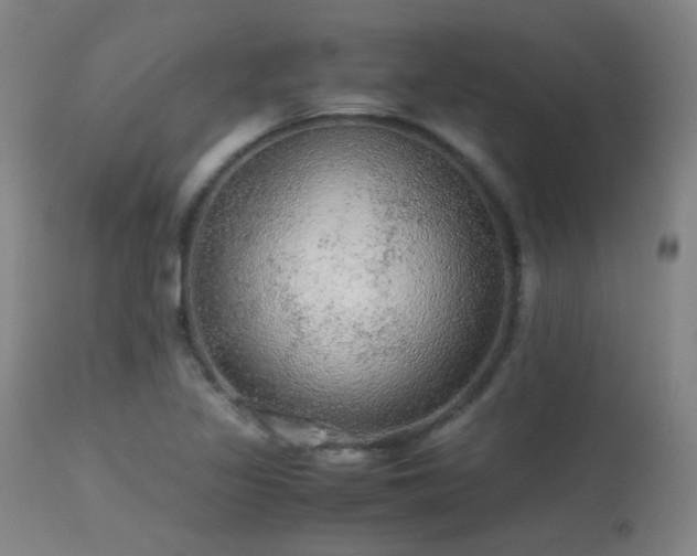 X0000113241317200909171553