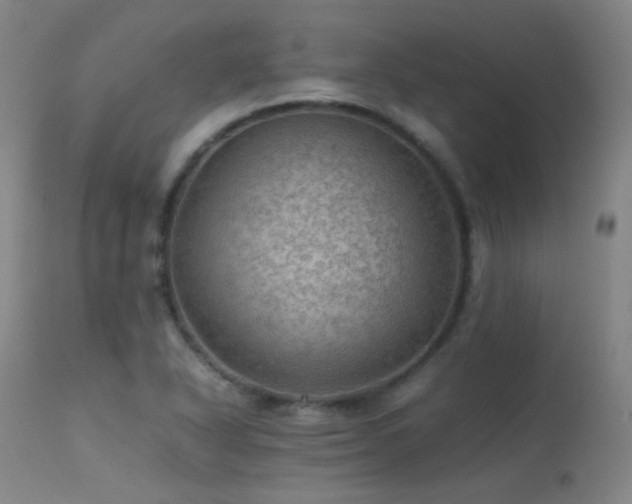 X0000113241318200909171553