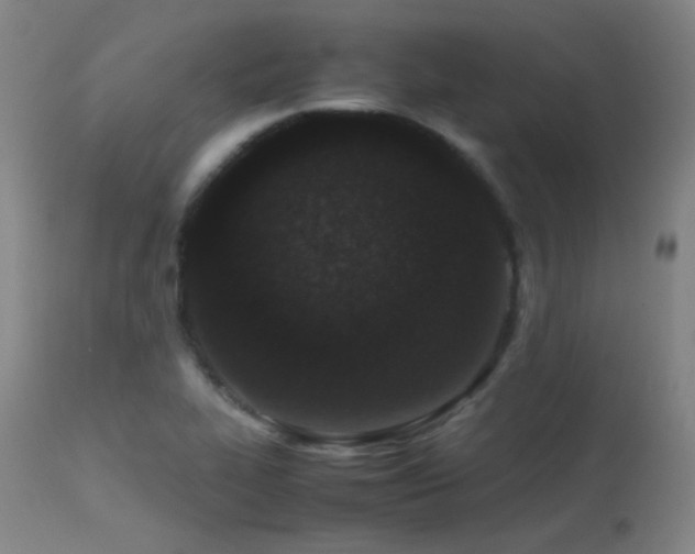 X0000113241319200909171553