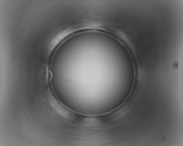 X0000113241320200909171553