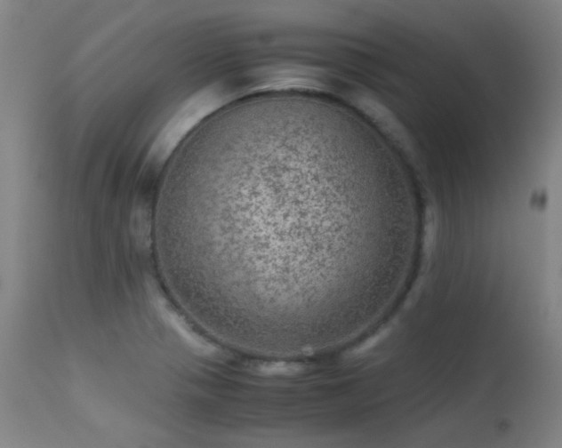 X0000113241321200909171553