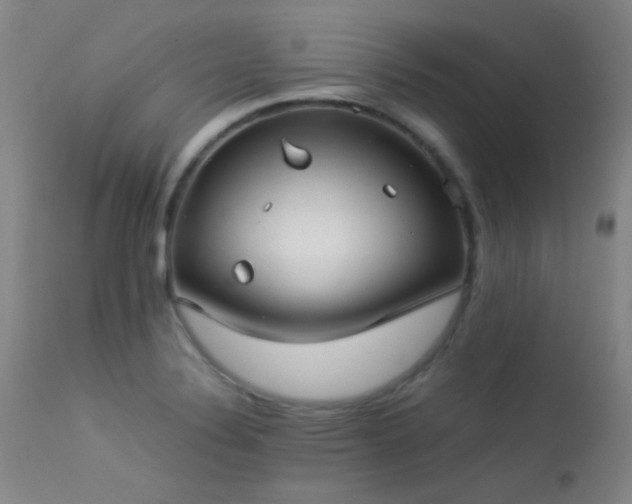 X0000113241324200909171553