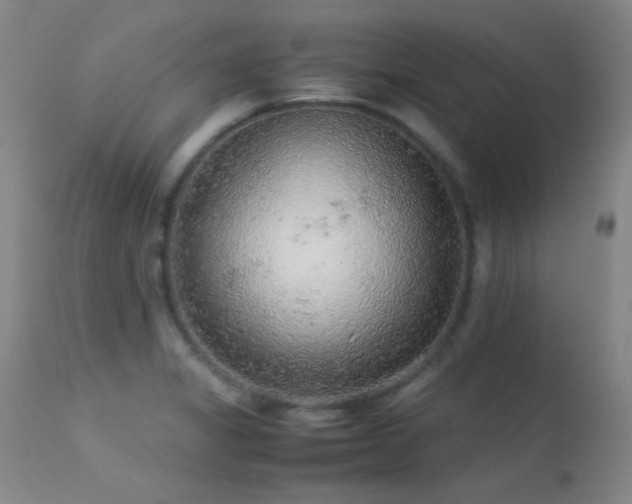 X0000113241325200909171553