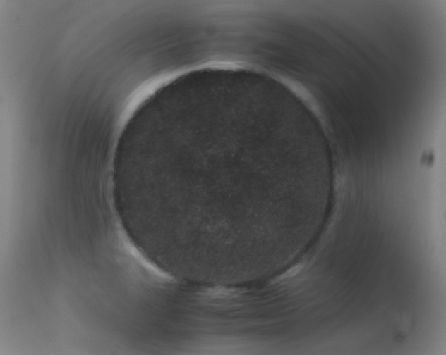 X0000113241327200909171553