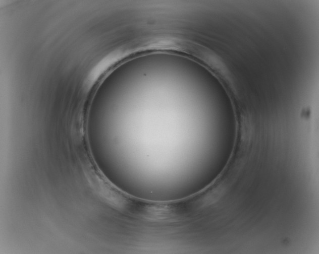 X0000113241328200909171553