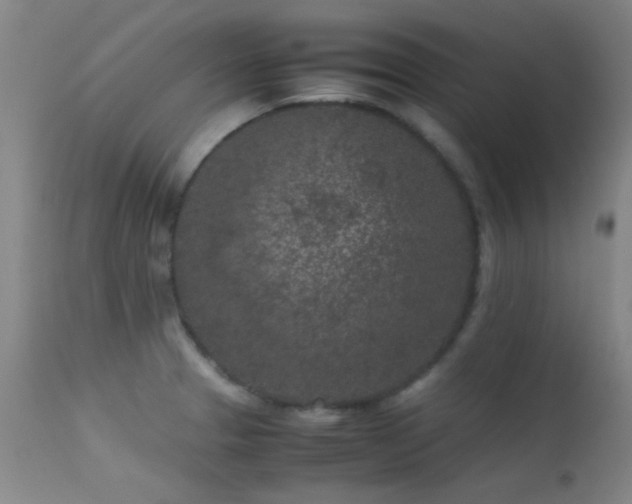 X0000113241329200909171553