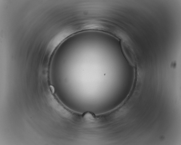 X0000113241330200909171553