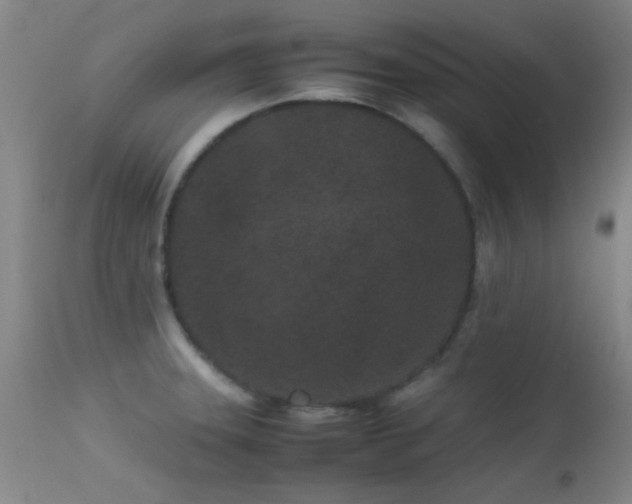 X0000113241331200909171553