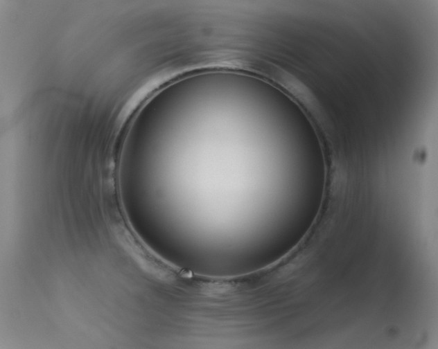 X0000113241332200909171553