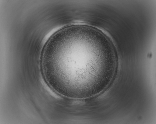 X0000113241333200909171553