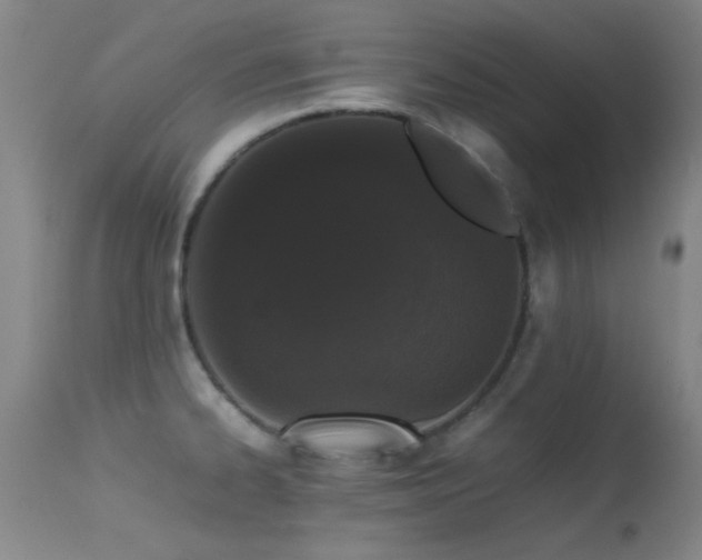 X0000113241334200909171553