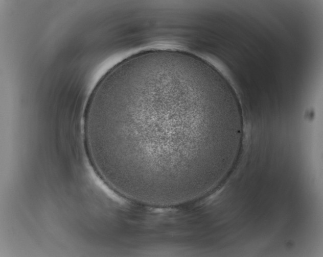 X0000113241335200909171553