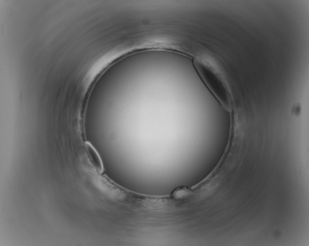 X0000113241336200909171553