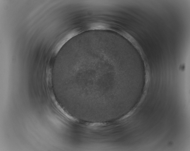 X0000113241337200909171553