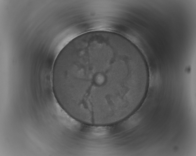 X0000113241338200909171553