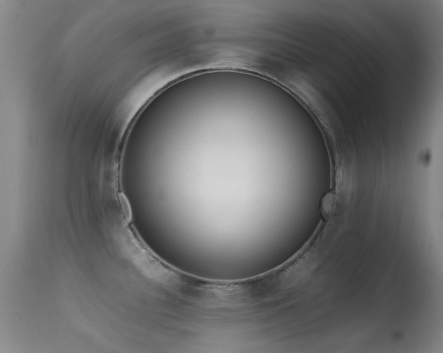 X0000113241340200909171553