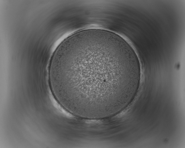 X0000113241341200909171553