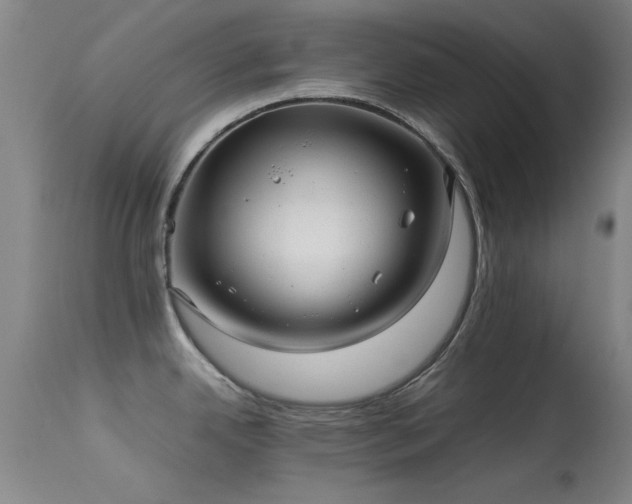 X0000113241342200909171553