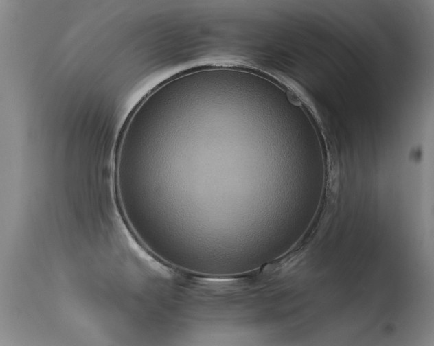 X0000113241343200909171553