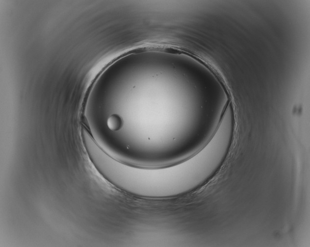 X0000113241344200909171553