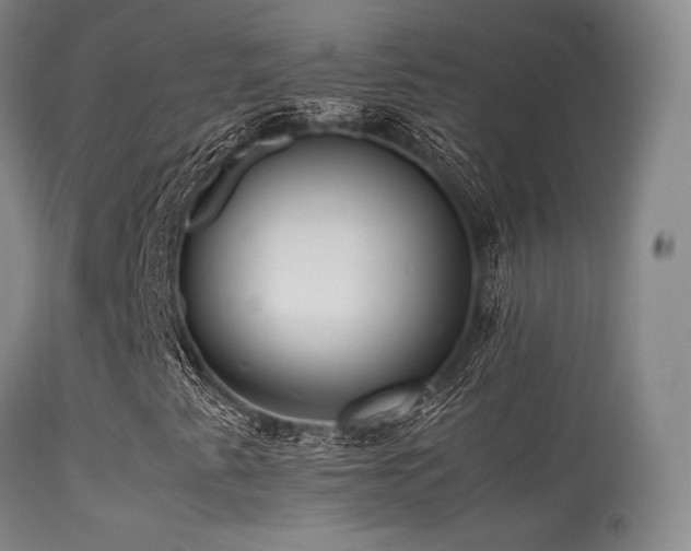 X0000113241345200909171553