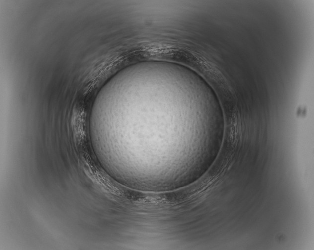 X0000113241346200909171553