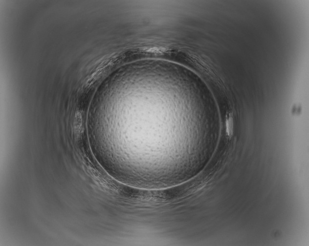 X0000113241347200909171553