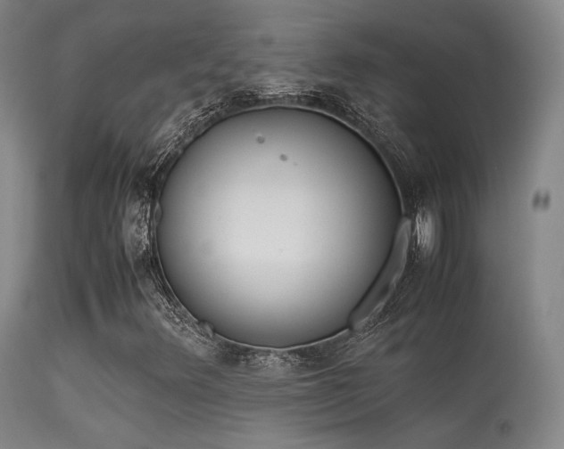 X0000113241348200909171553