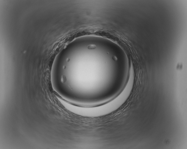 X0000113241349200909171553