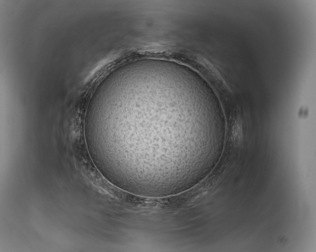 X0000113241350200909171553