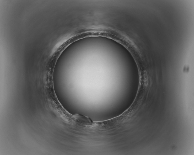 X0000113241352200909171553